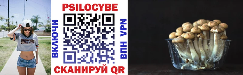 Галлюциногенные грибы GOLDEN TEACHER  omg как войти  Рыбное 